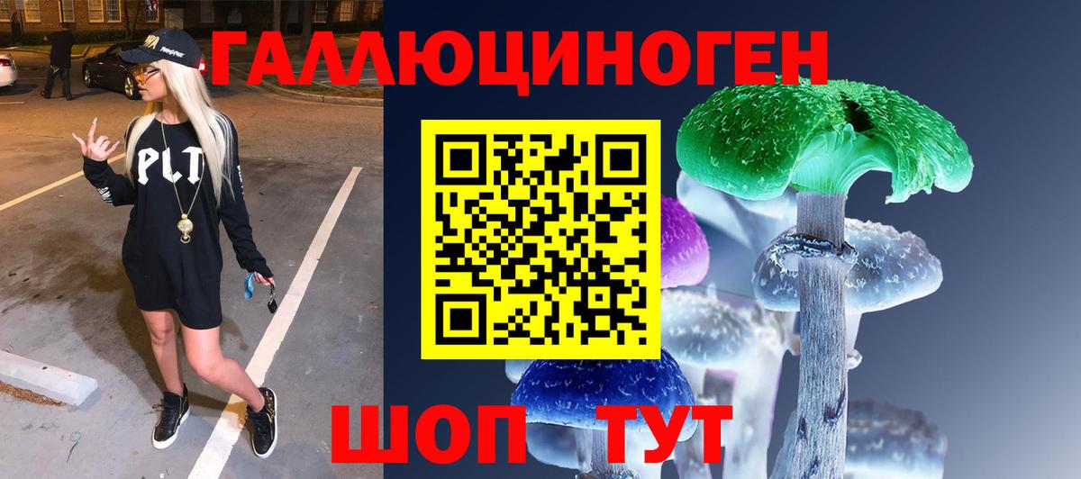 Дубна  Галлюциногенные грибы прущие грибы  Вход с VPN 