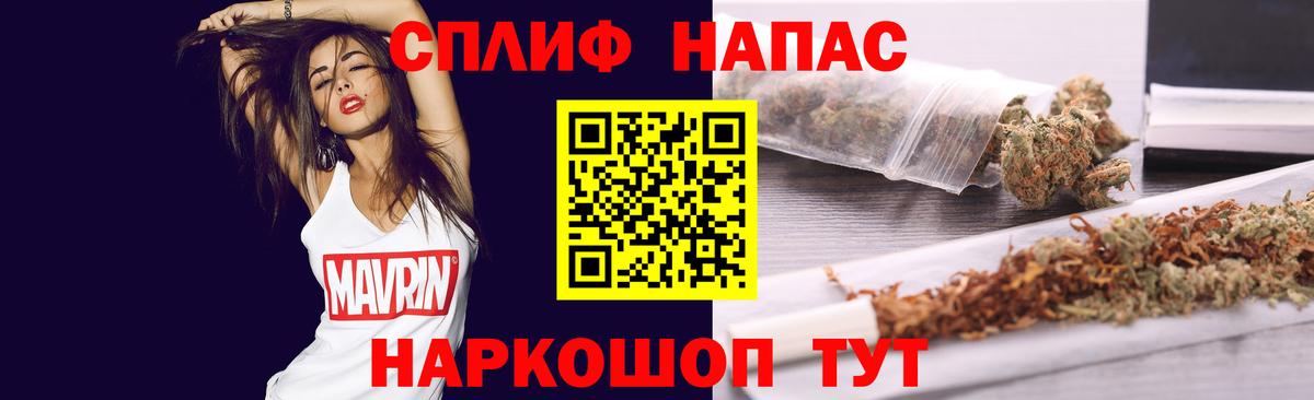  COCAIN Дубна